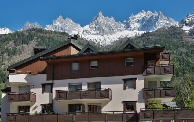 L'Espace Montagne - Photo 4