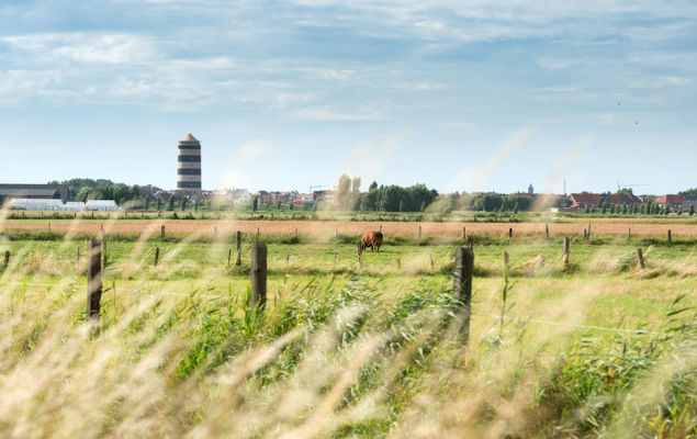 Tivoli Gardens - Photo 4