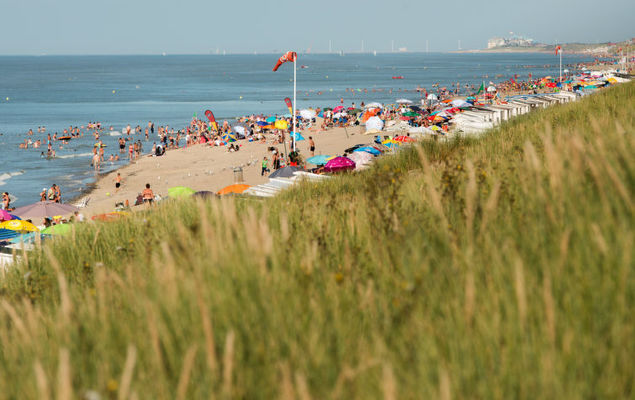 Tivoli Gardens - Photo 10