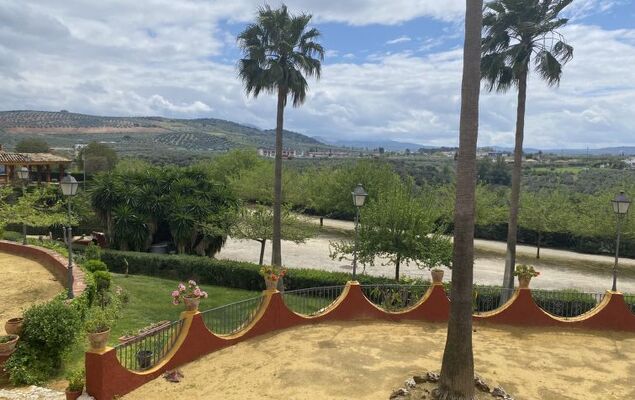 Dehesa del Colmenar - Photo 15