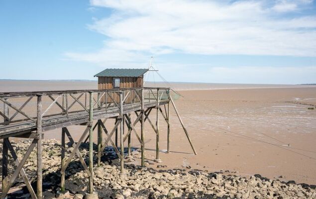 Les Alcyons T3 - Photo 25