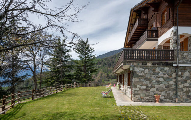 Hérisson - Photo 17