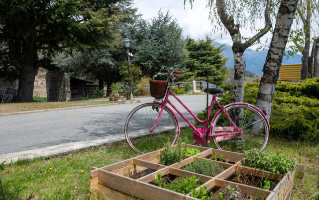 Hérisson - Photo 23