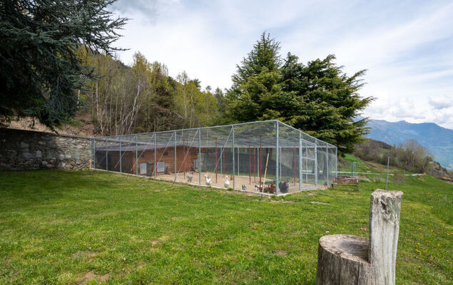 Hérisson - Photo 24