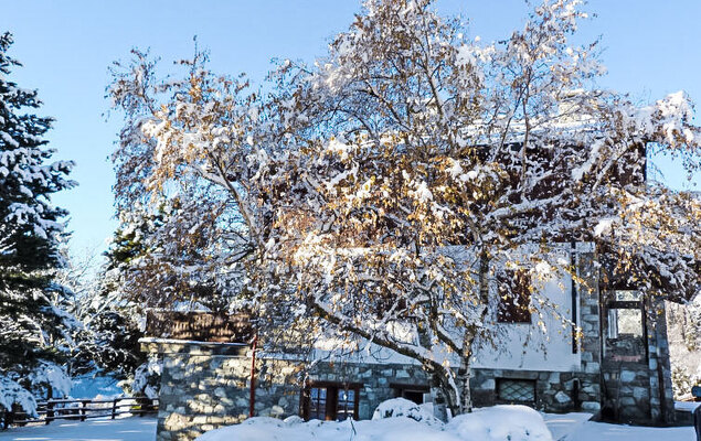 Hérisson - Photo 29