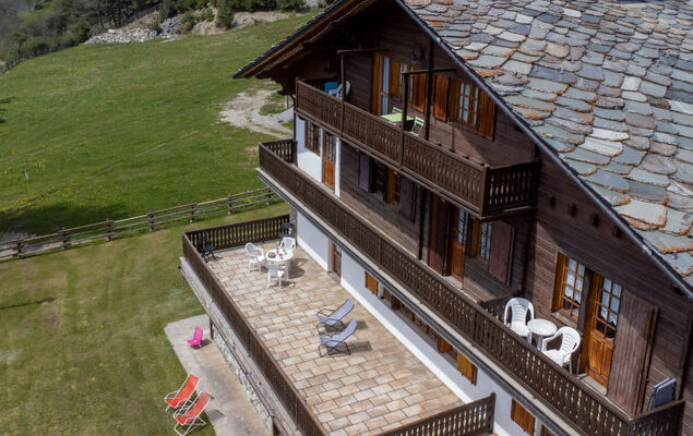 Hérisson - Photo 33