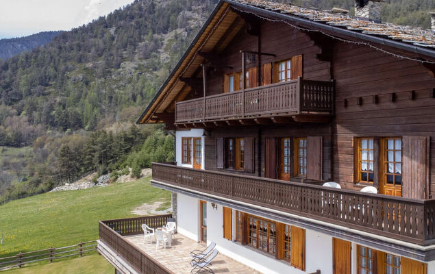 Hérisson - Photo 34