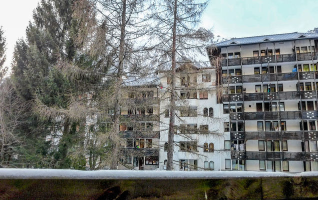 Jonquilles - Photo 7